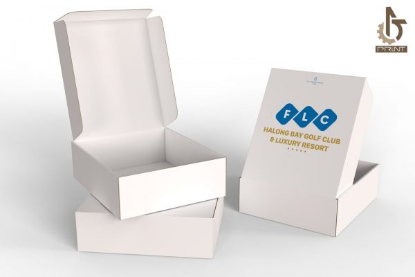 Bao bì vỏ hộp 1 - XƯỞNG IN AT